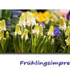 Frühlingsimpression