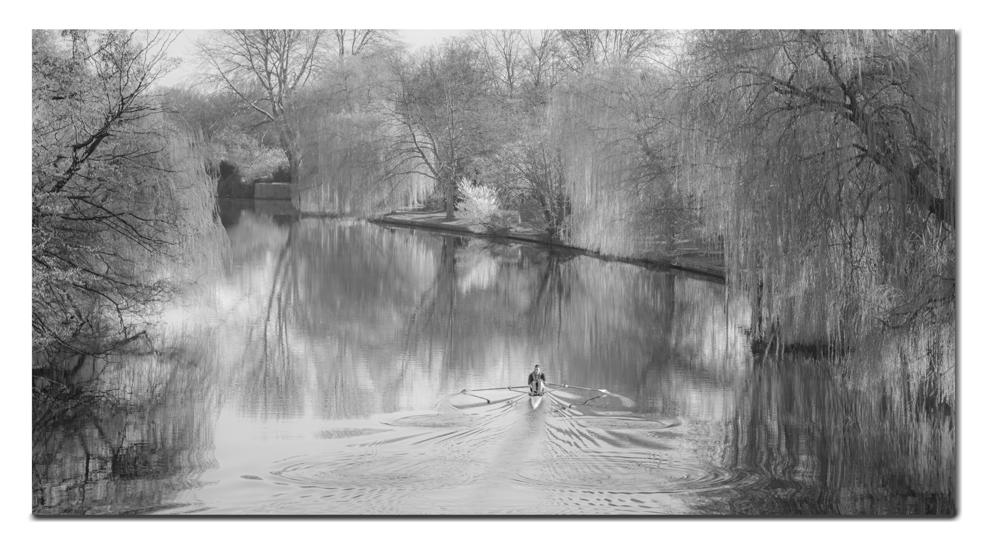 Frühlingsimpression Alster Hamburg-Nord