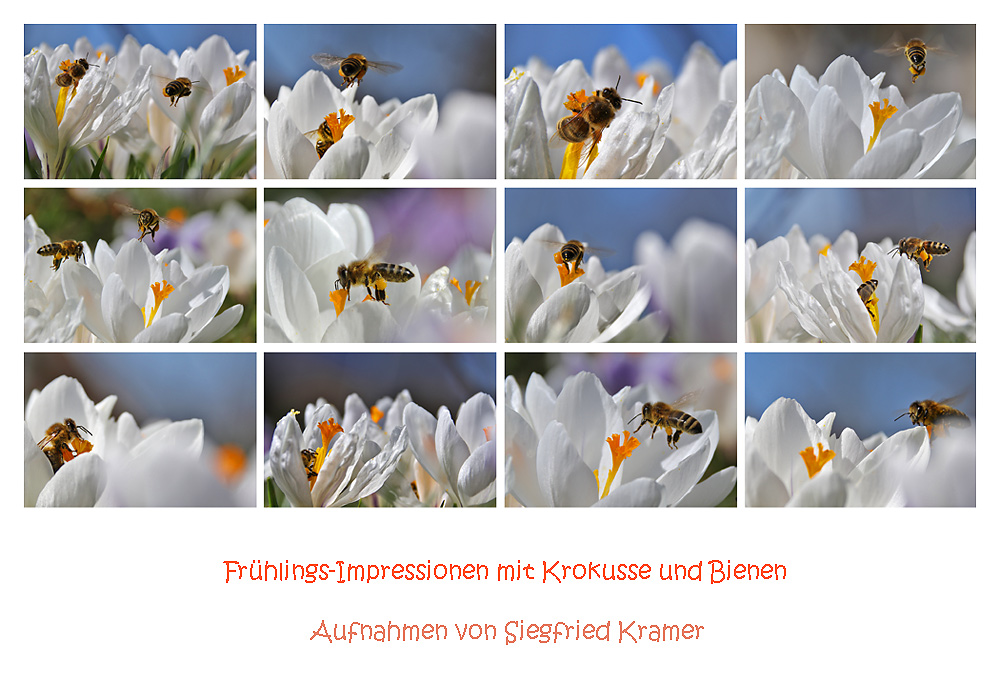 Frühlingsimpressionen  