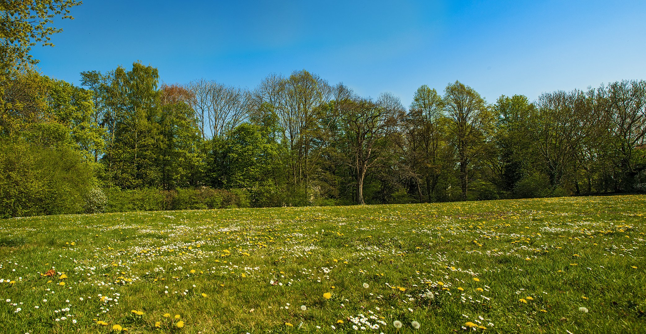 Frühlingsimpressionen