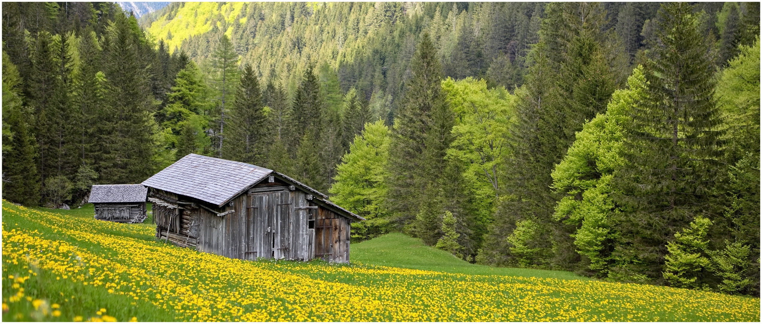 Frühlingsimpressionen 2021-05-30  Panorama