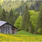 Frühlingsimpressionen 2021-05-30  Panorama