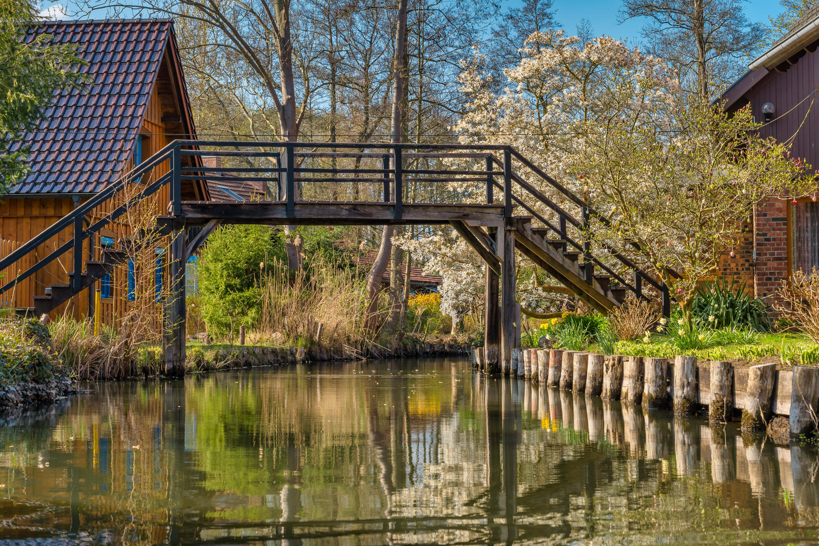 Frühlingsimpressionen