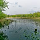 Frühlingsimpressionen am namenlosen Weiher