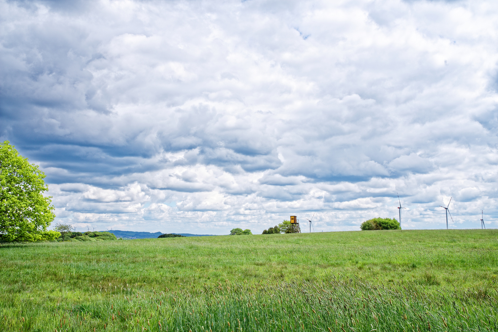 Frühlingsimpressionen auf dem Stennweiler Flur (Saarland)