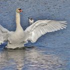 Frühlingsimpressionen aus der Lausitz/ 11