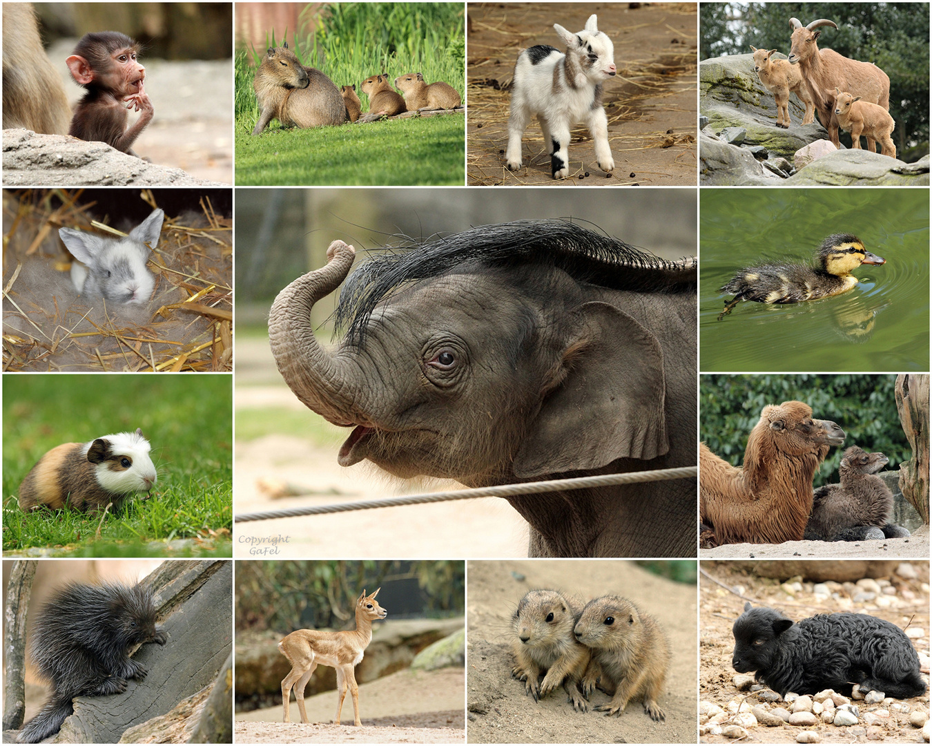 Frühlingskinder 2018 bei Hagenbeck