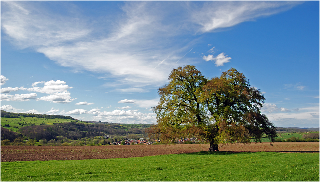 Frühlingskleid