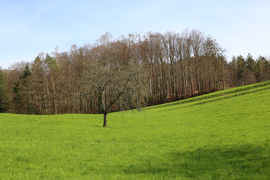 Frühlingskontraste