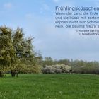 Frühlingsküsschen...