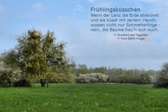 Frühlingsküsschen...