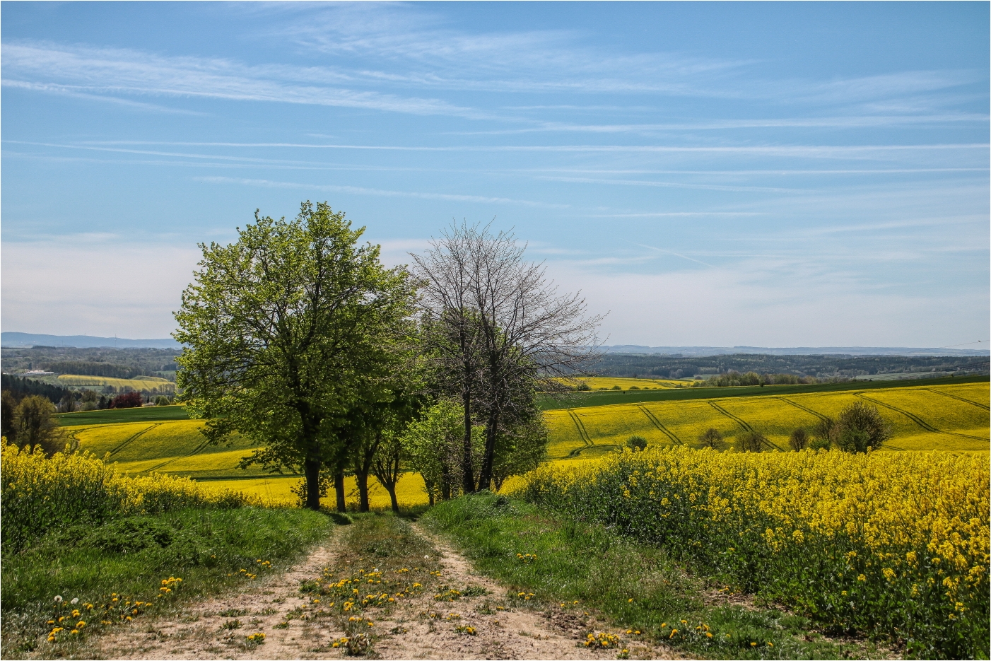 Frühlingsland... paar Tage später