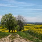 Frühlingsland... paar Tage später