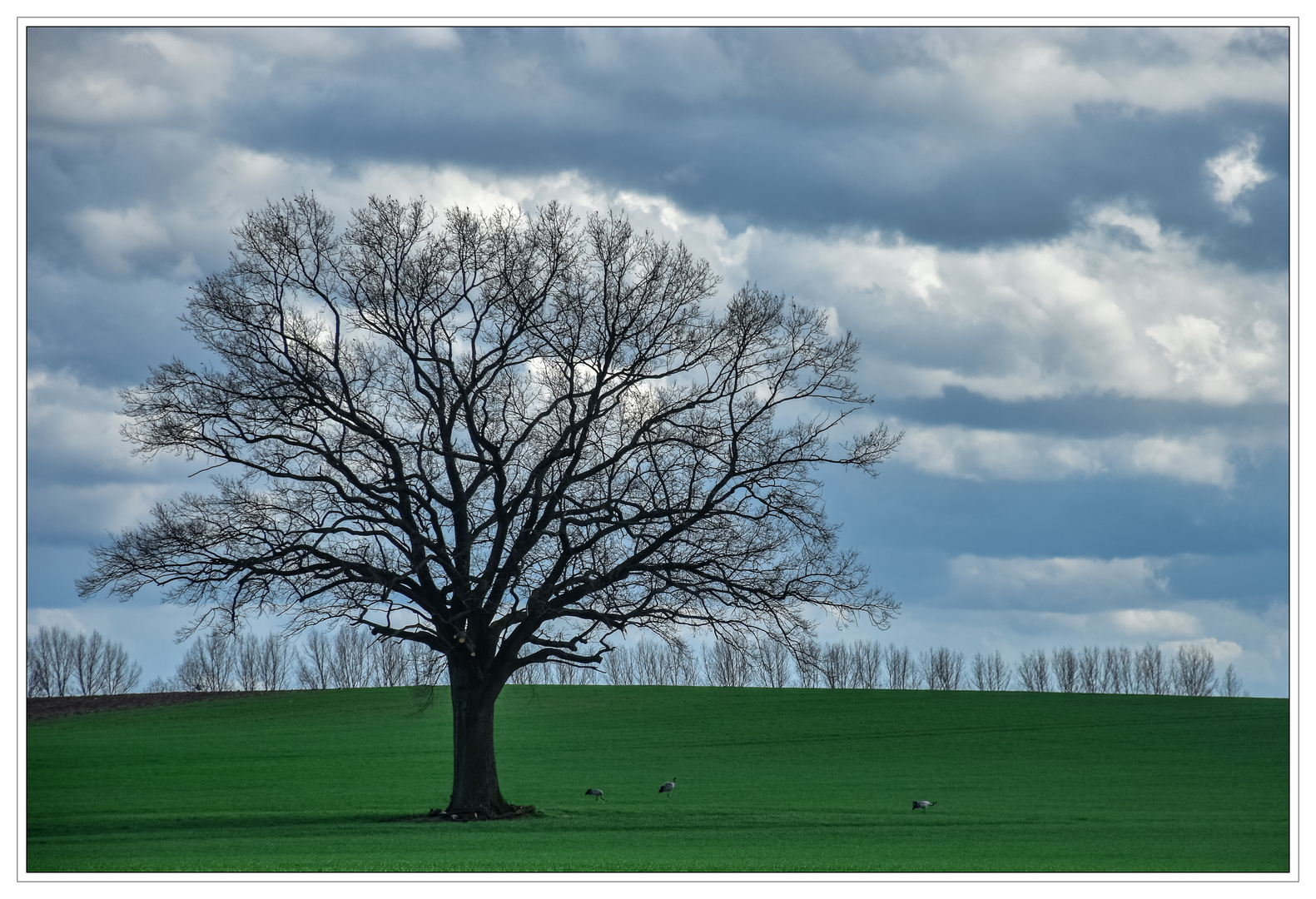 Frühlingslandschaft