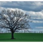 Frühlingslandschaft