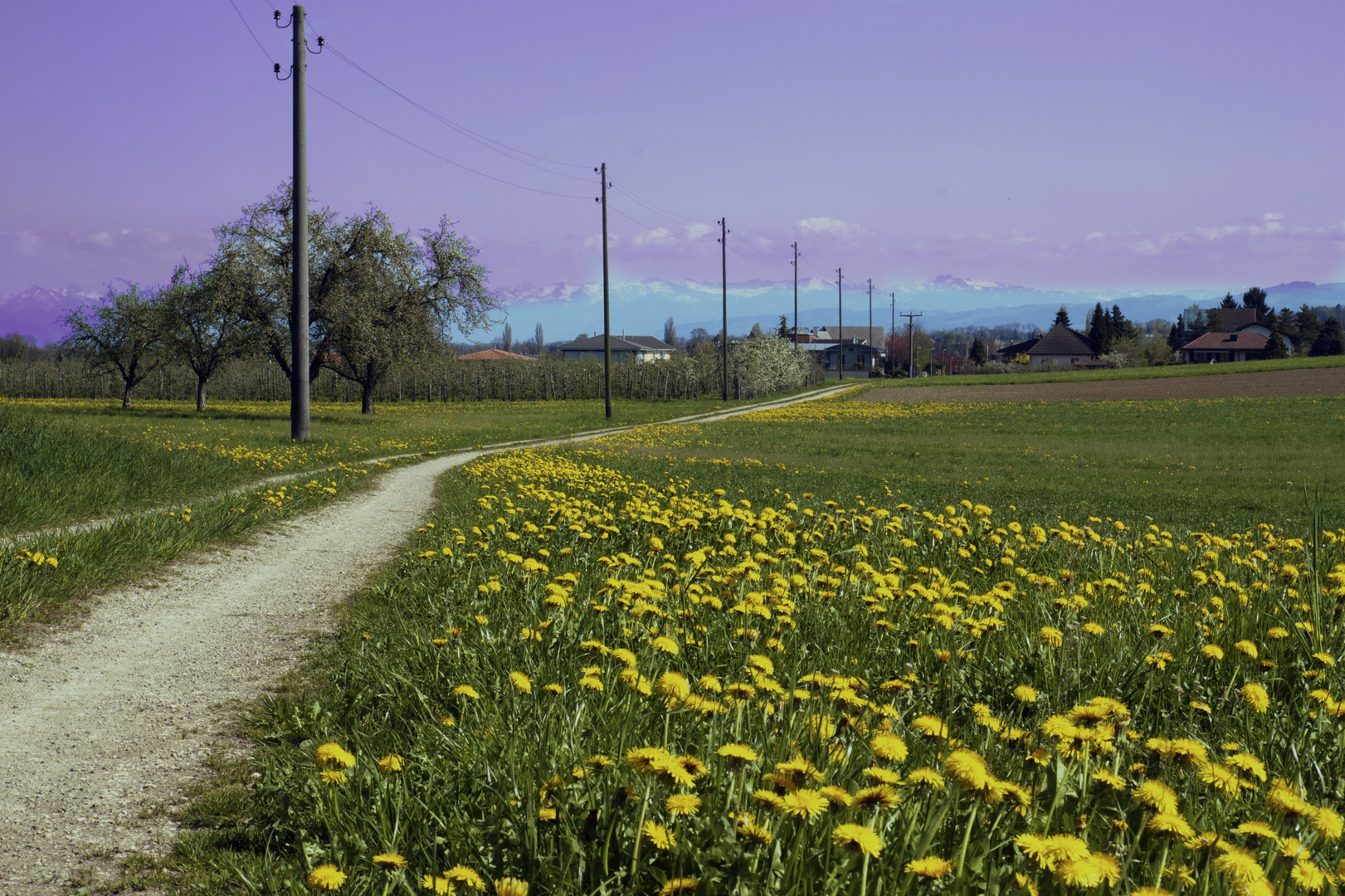 Frühlingslandschaft