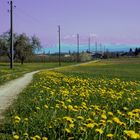 Frühlingslandschaft