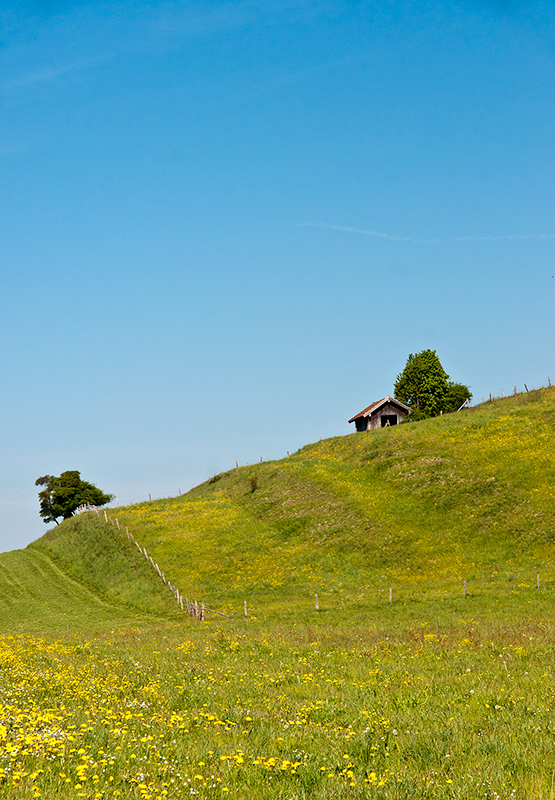 Frühlingslandschaft (1)