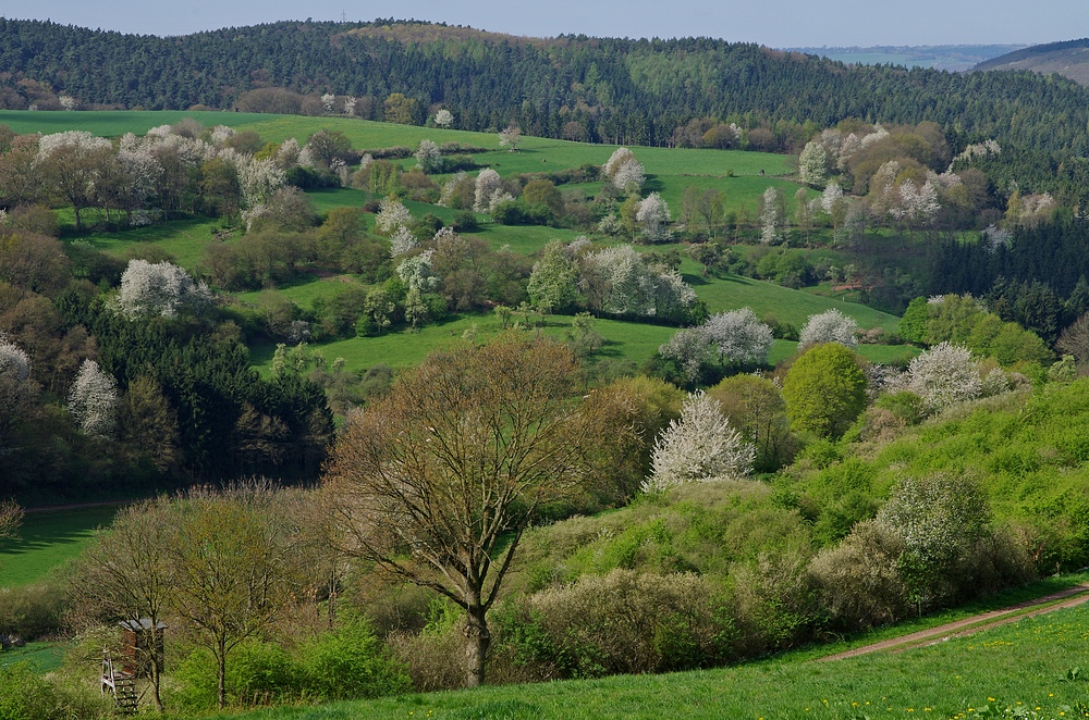 Frühlingslandschaft 10.4.14