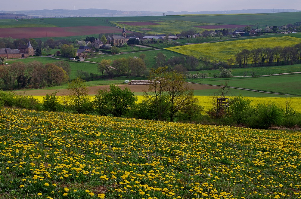 Frühlingslandschaft 10.4.14