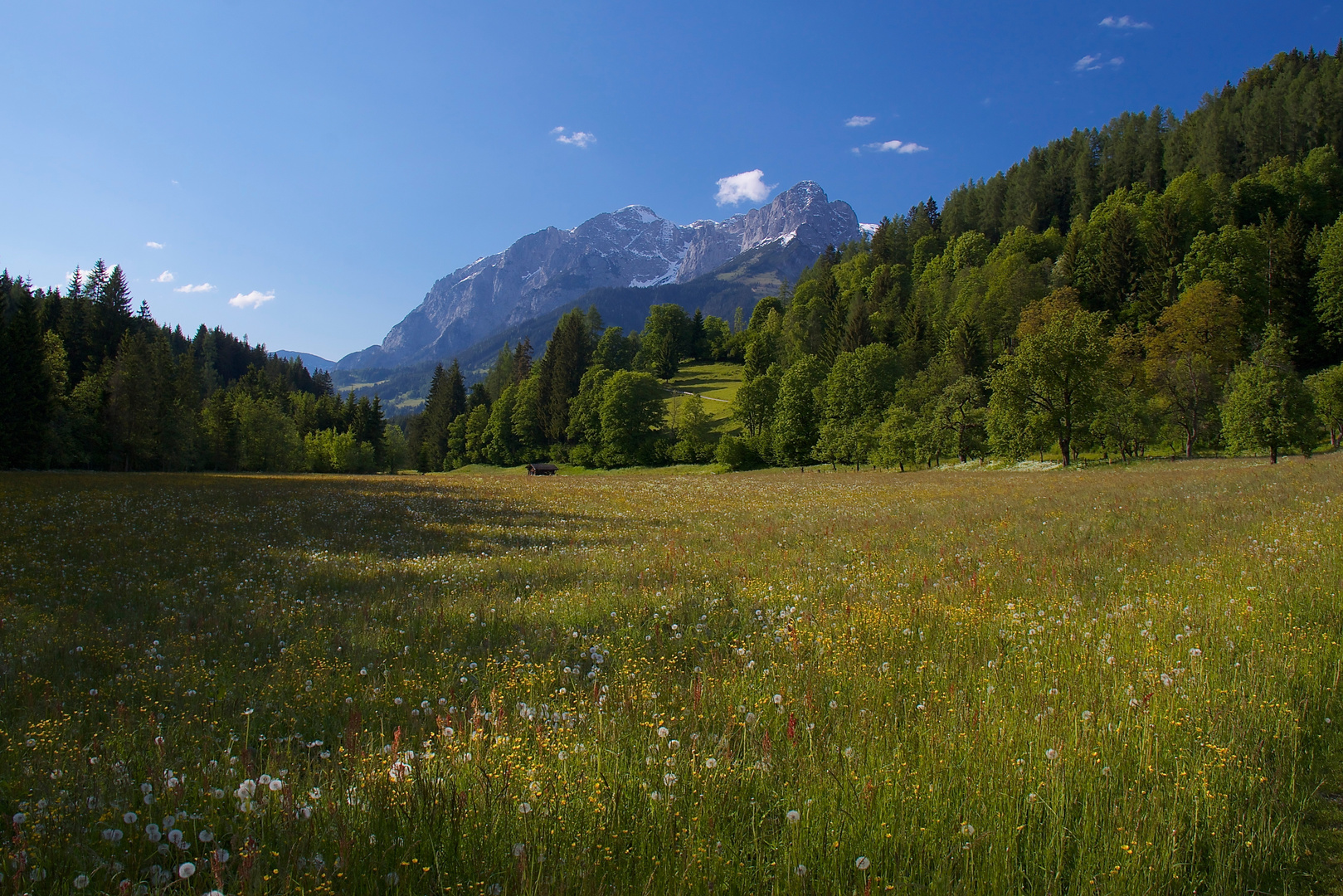 Frühlingslandschaft