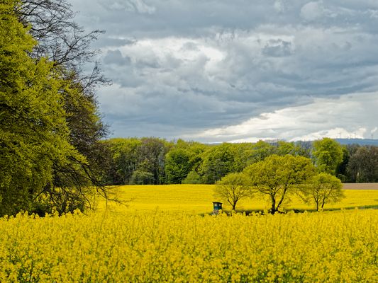 Frühlingslandschaft