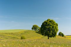 Frühlingslandschaft (2)