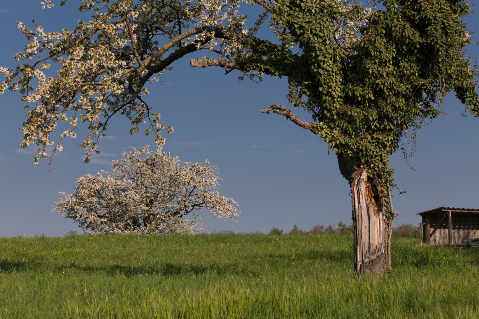 Frühlingslandschaft 2