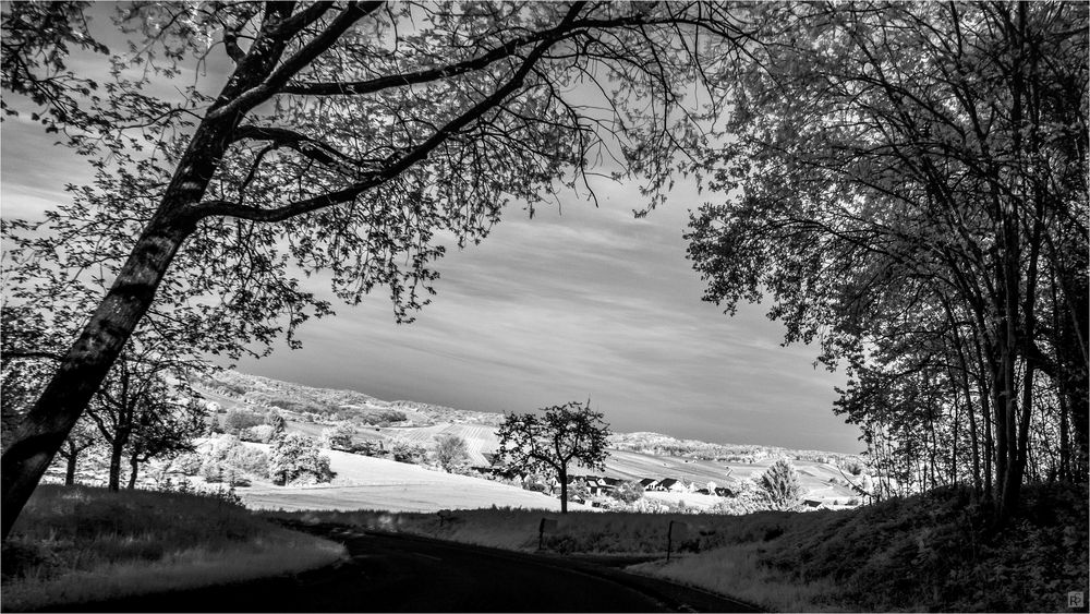 Frühlingslandschaft