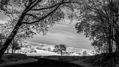 Frühlingslandschaft