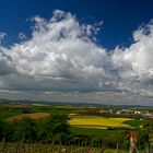 Frühlingslandschaft