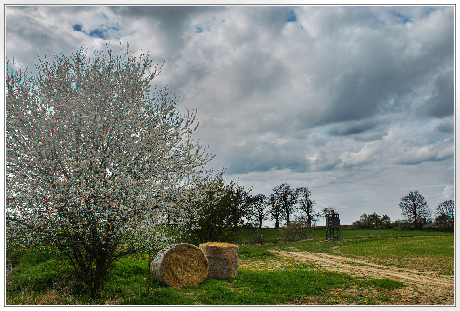 Frühlingslandschaft