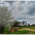 Frühlingslandschaft