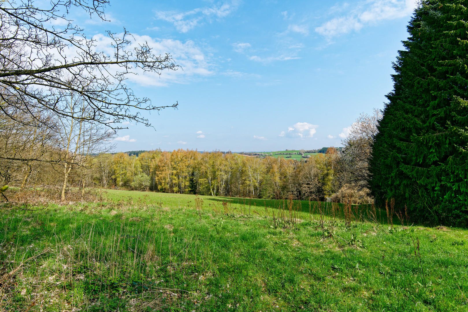 Frühlingslandschaft 