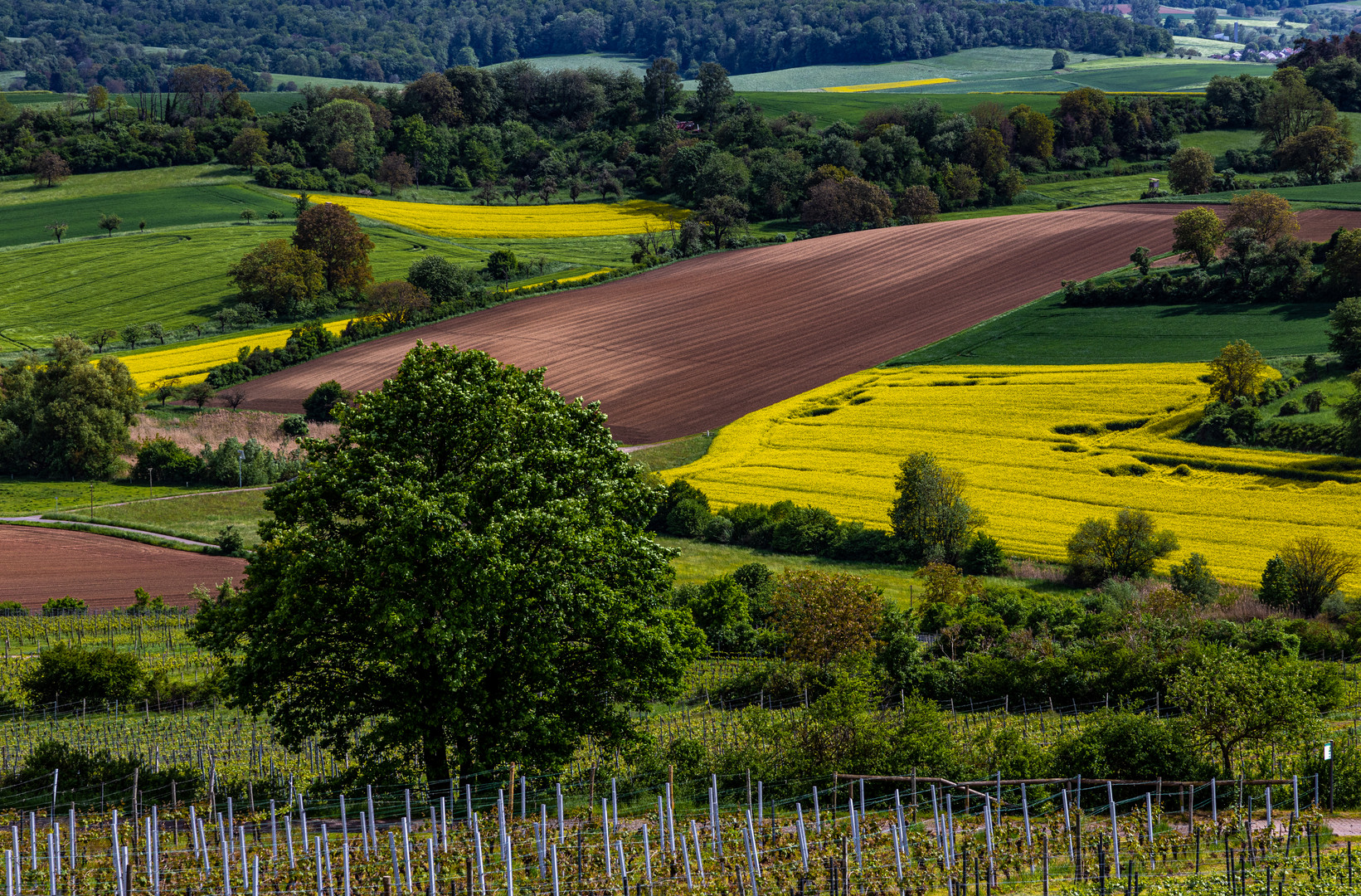 Frühlingslandschaft