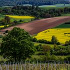 Frühlingslandschaft