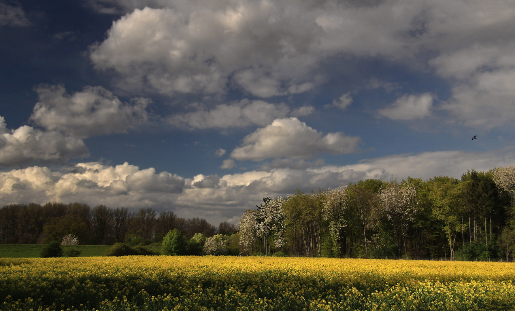 Frühlingslandschaft