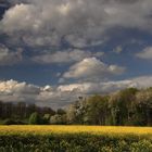 Frühlingslandschaft