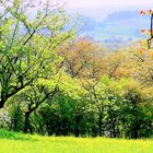 Frühlingslandschaft