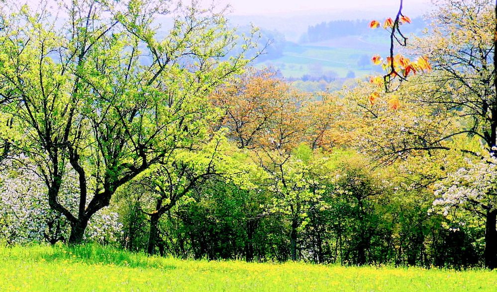 Frühlingslandschaft