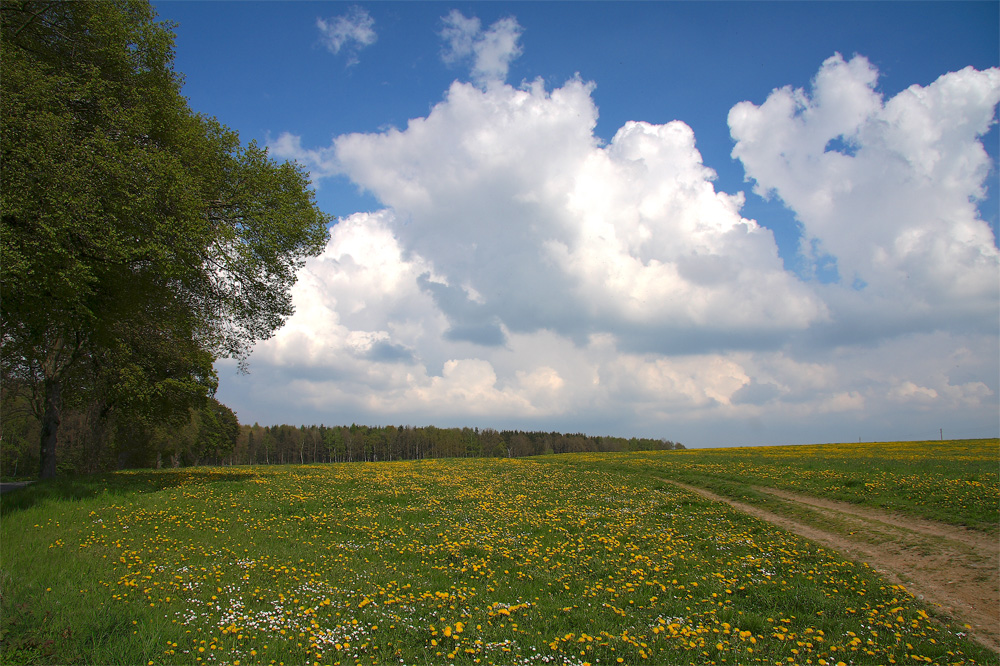 Frühlingslandschaft