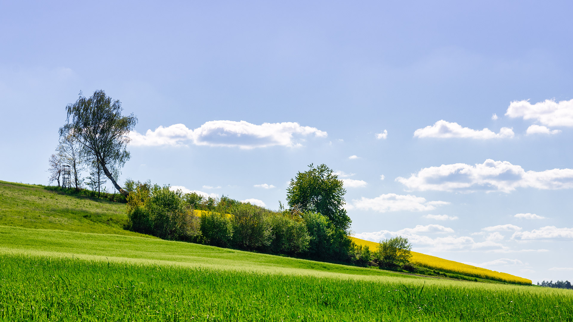 Frühlingslandschaft