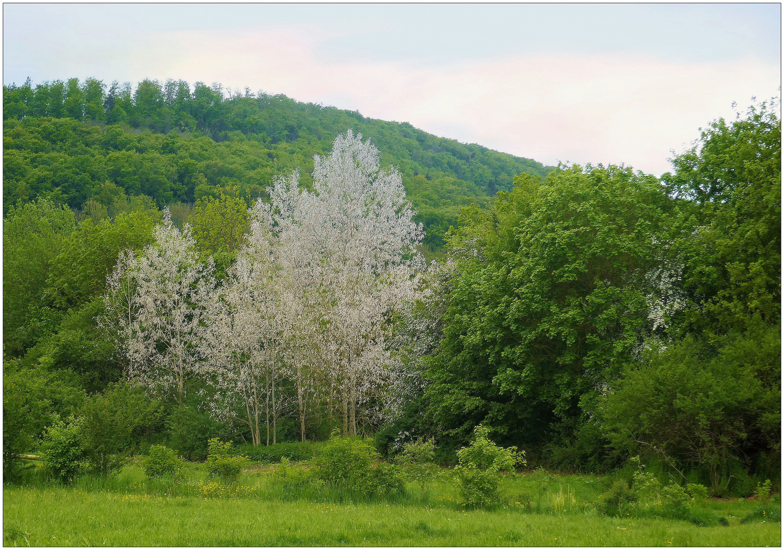 Frühlingslandschaft