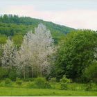 Frühlingslandschaft