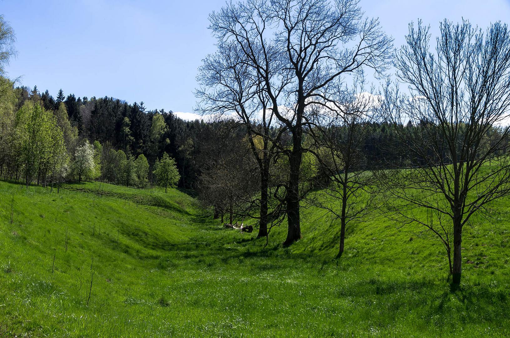 Frühlingslandschaft