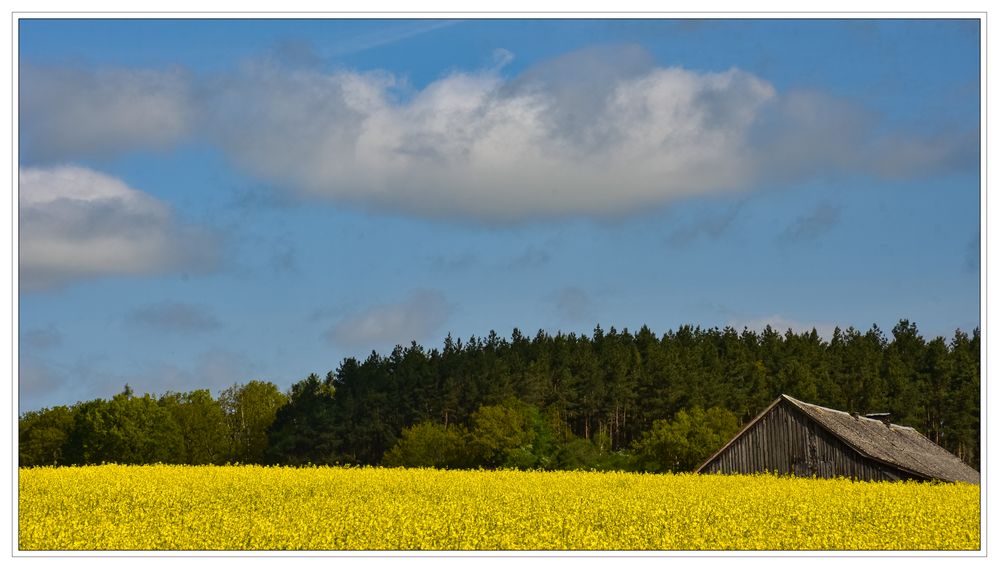 Frühlingslandschaft