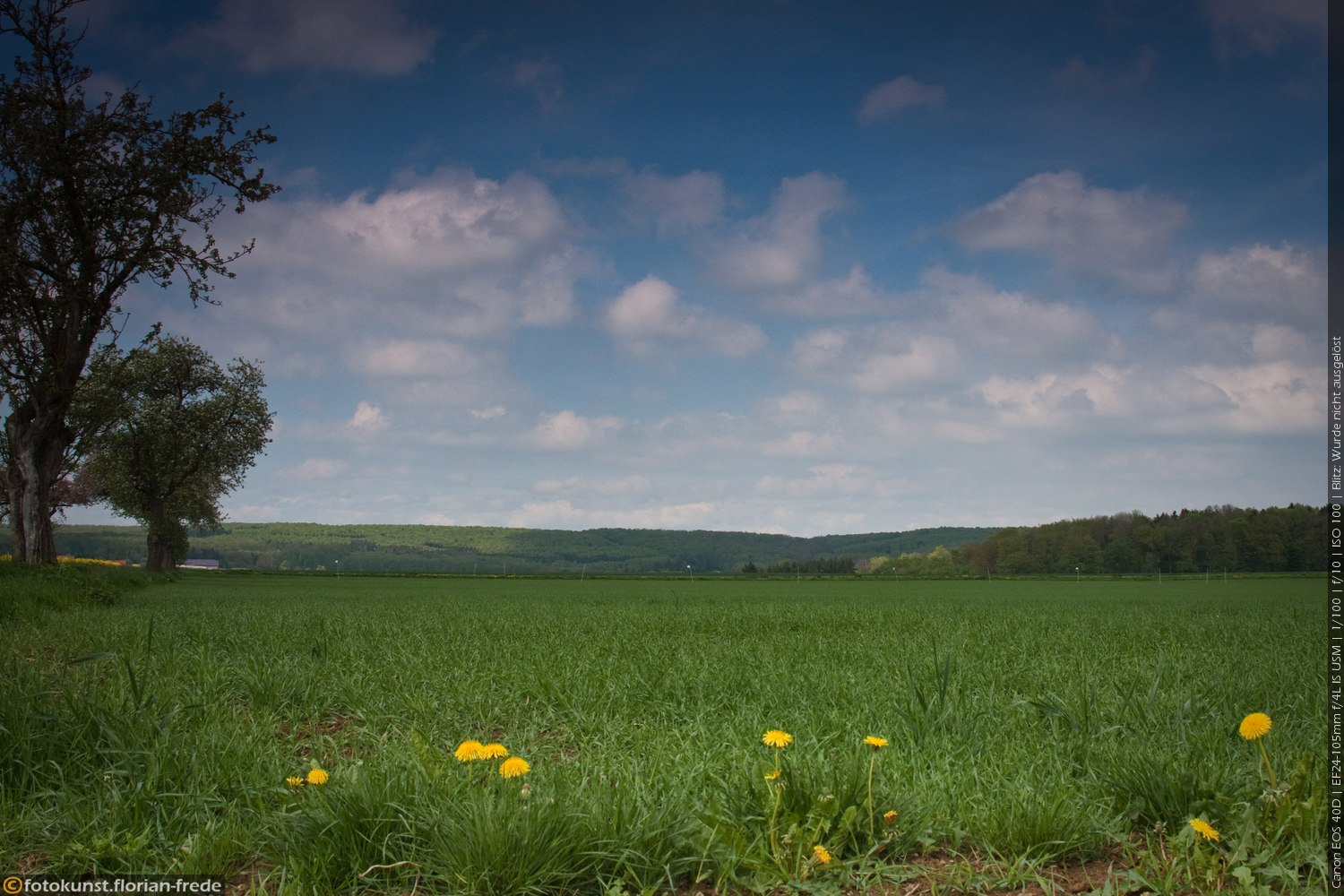 Frühlingslandschaft