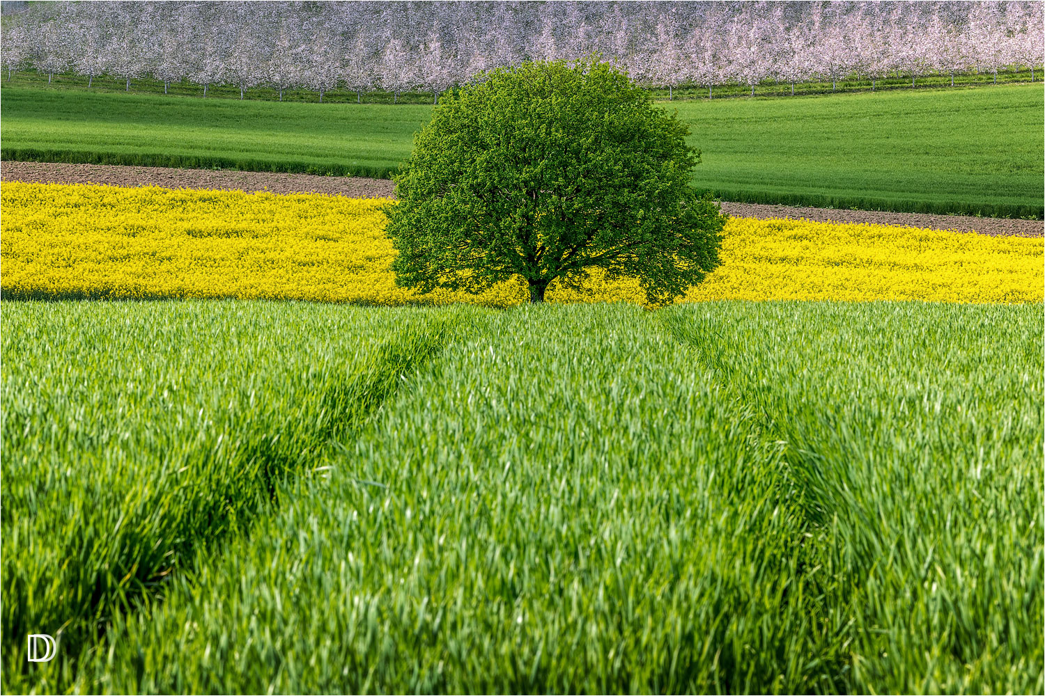 Frühlingslandschaft