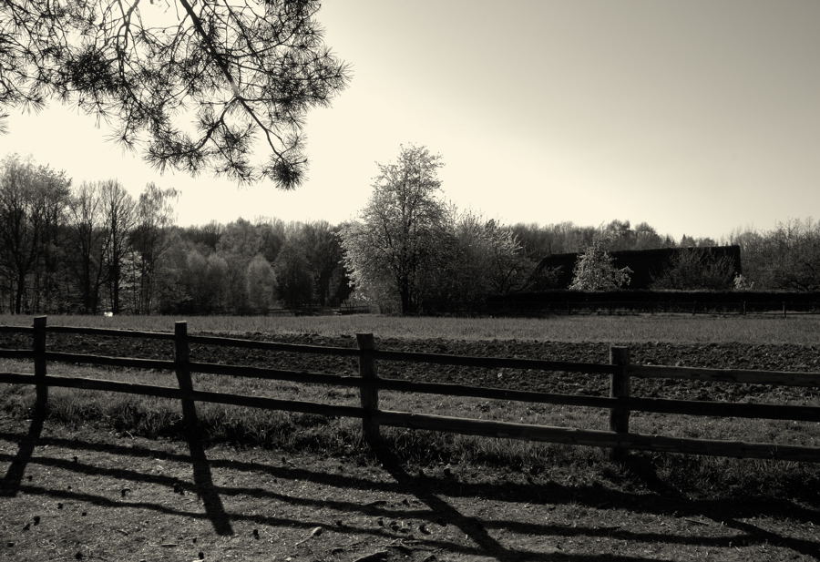 Frühlingslandschaft