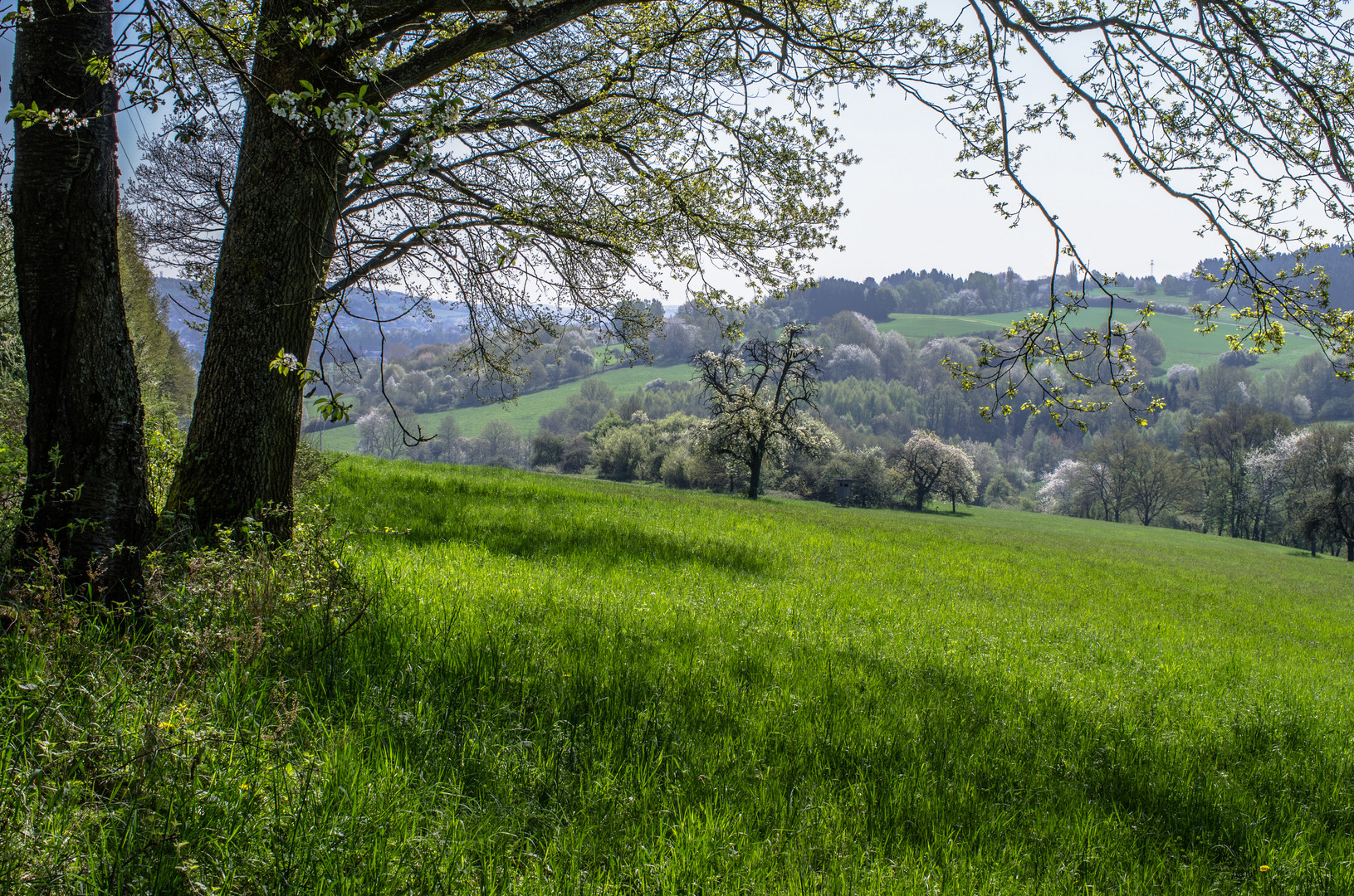 Frühlingslandschaft